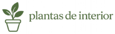 Plantas de Interior