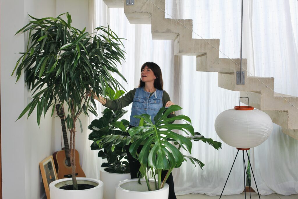 Living moderno decorado con plantas grandes en macetas blancas cilíndricas, ideas para decorar con plantas