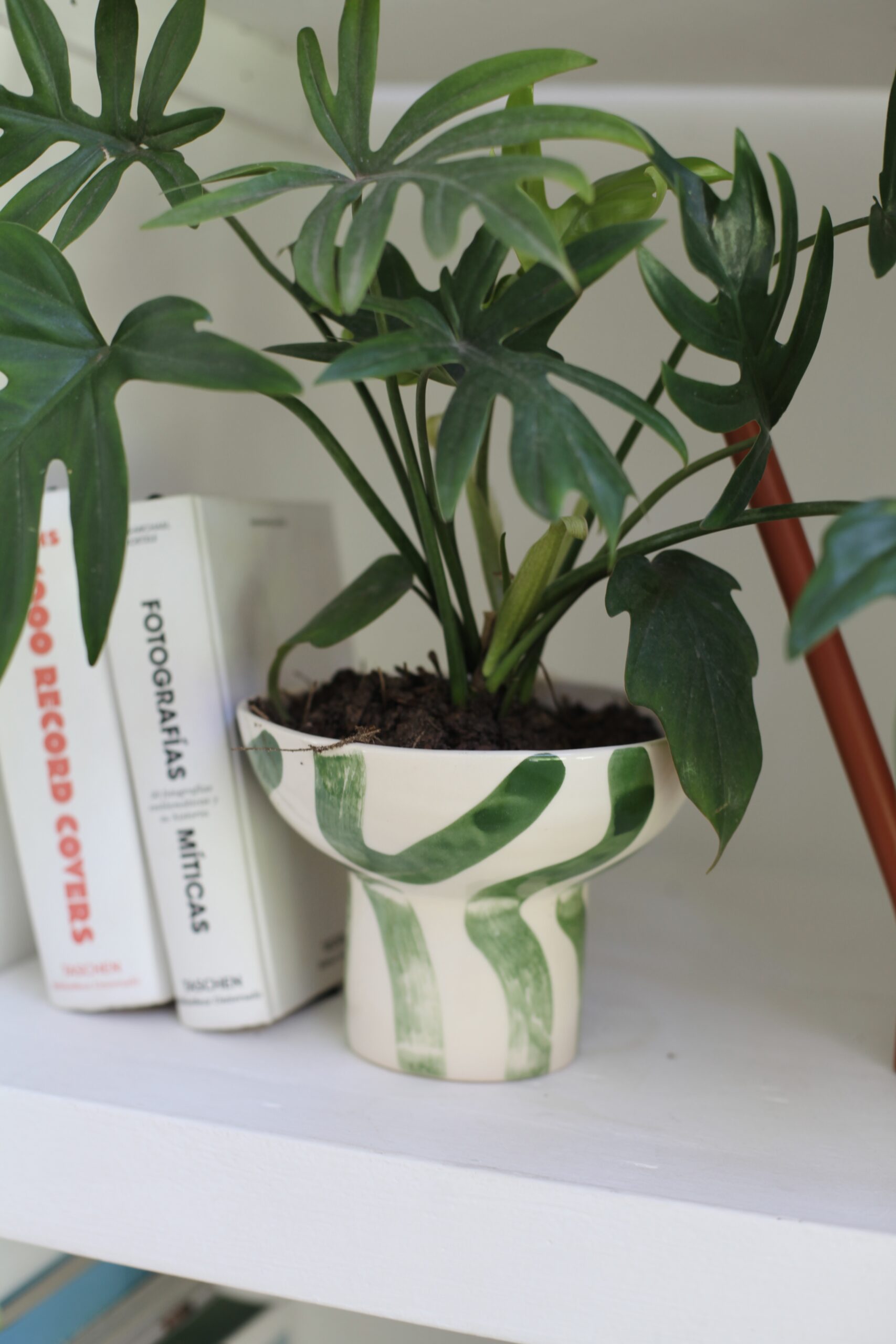 Maceta cerámica artesanal con diseño de ondas verdes en estante minimalista, cómo combinar macetas de diseño en el hogar