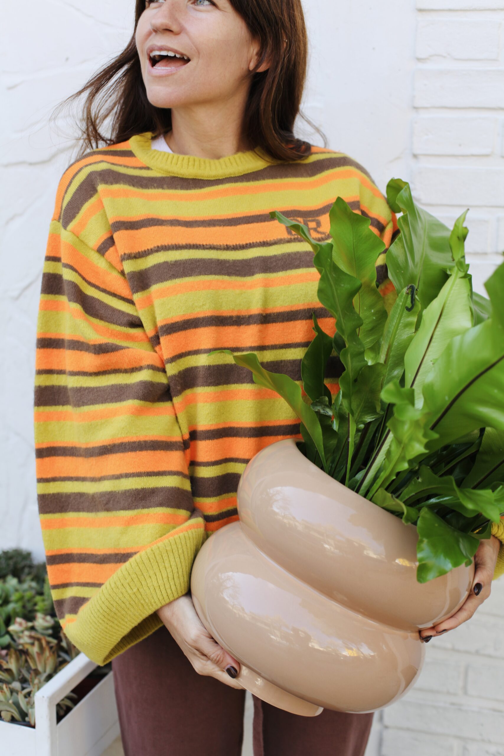 Planta con porte natural en maceta cerámica de diseño en exterior luminoso, el Olivo como planta de interior