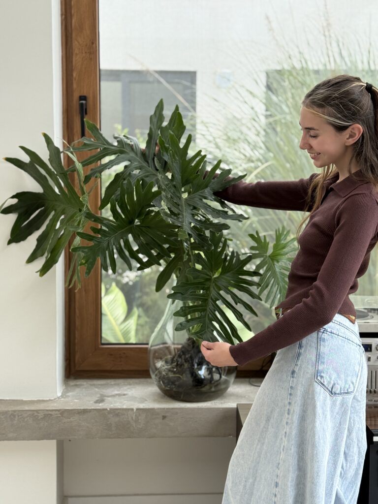 Mujer con Monstera grande en jarrón de vidrio sobre mesada de cocina, plantas decorativas para la cocina de interior