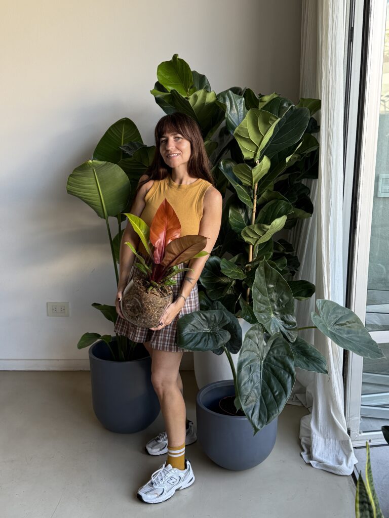 Rincón verde con plantas de distintas alturas en macetas coordinadas en living, cómo armar un rincón verde en casa