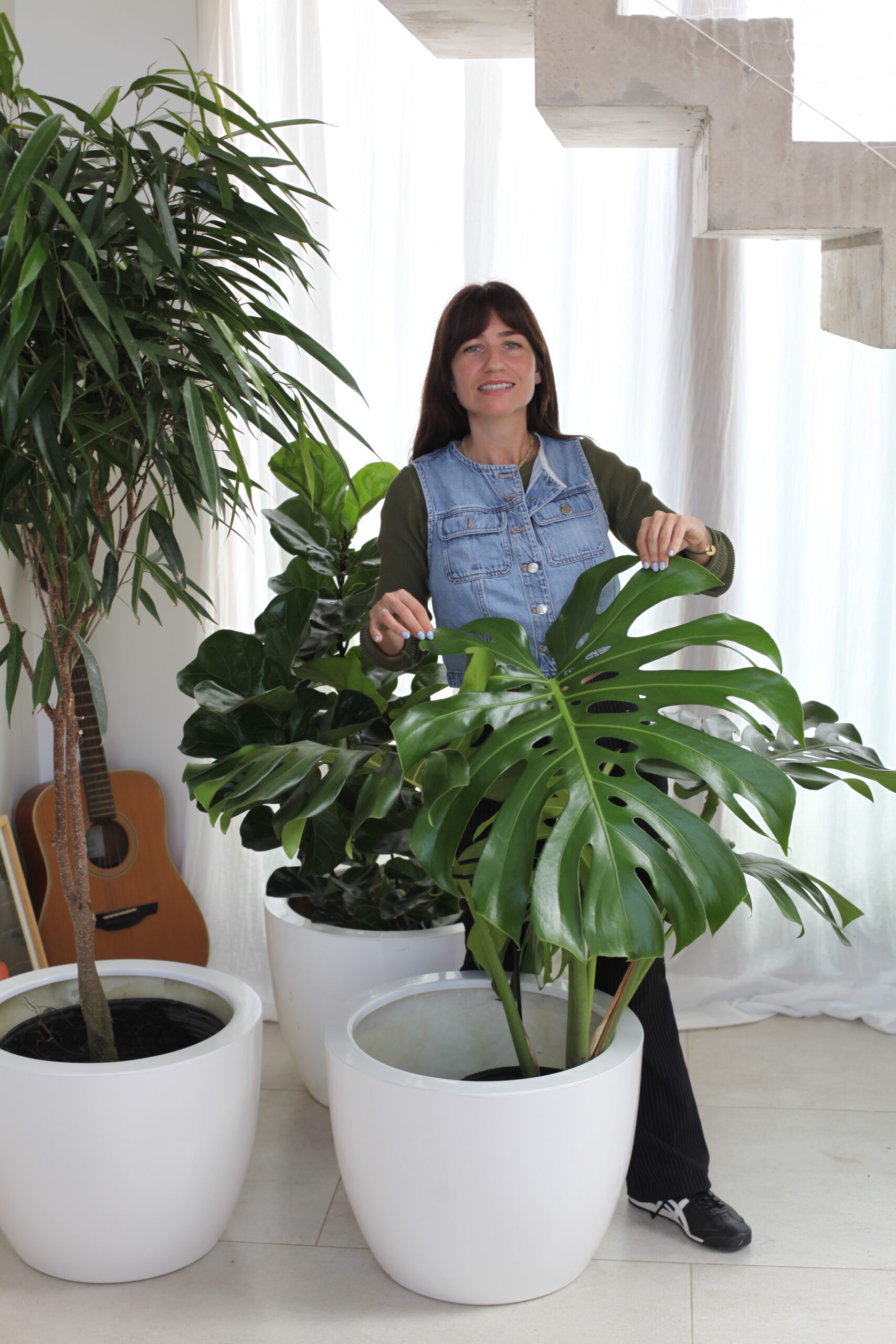 Plantas grandes en macetas blancas como divisores naturales en living moderno con escalera, cómo separar ambientes con plantas